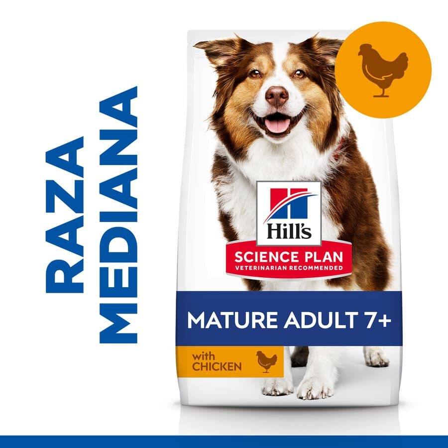 2 x 14 kg Hill's Science Plan Medium Mature Adult Frango ração para cães Pack poupança!