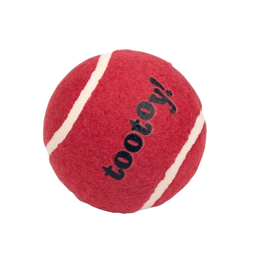 Tootoy! Chase Squeaker Ball Vermelha bola de ténis para cães