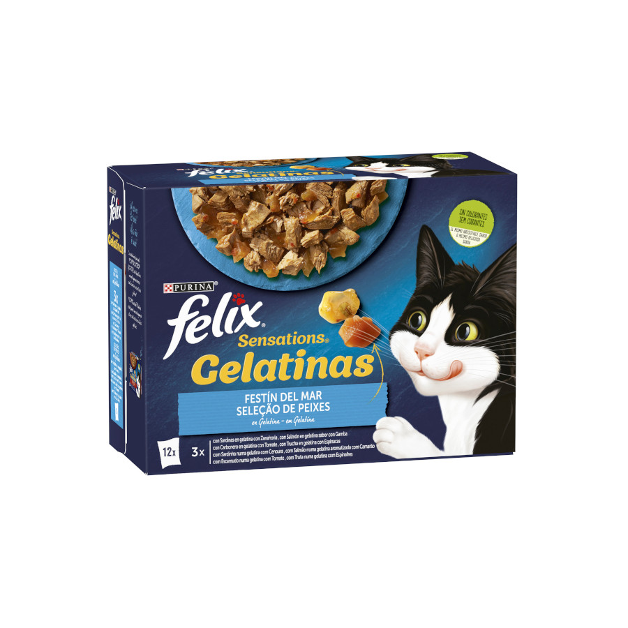 Felix Sensations Seleção de Peixes saquetas em galeia – Pack 4