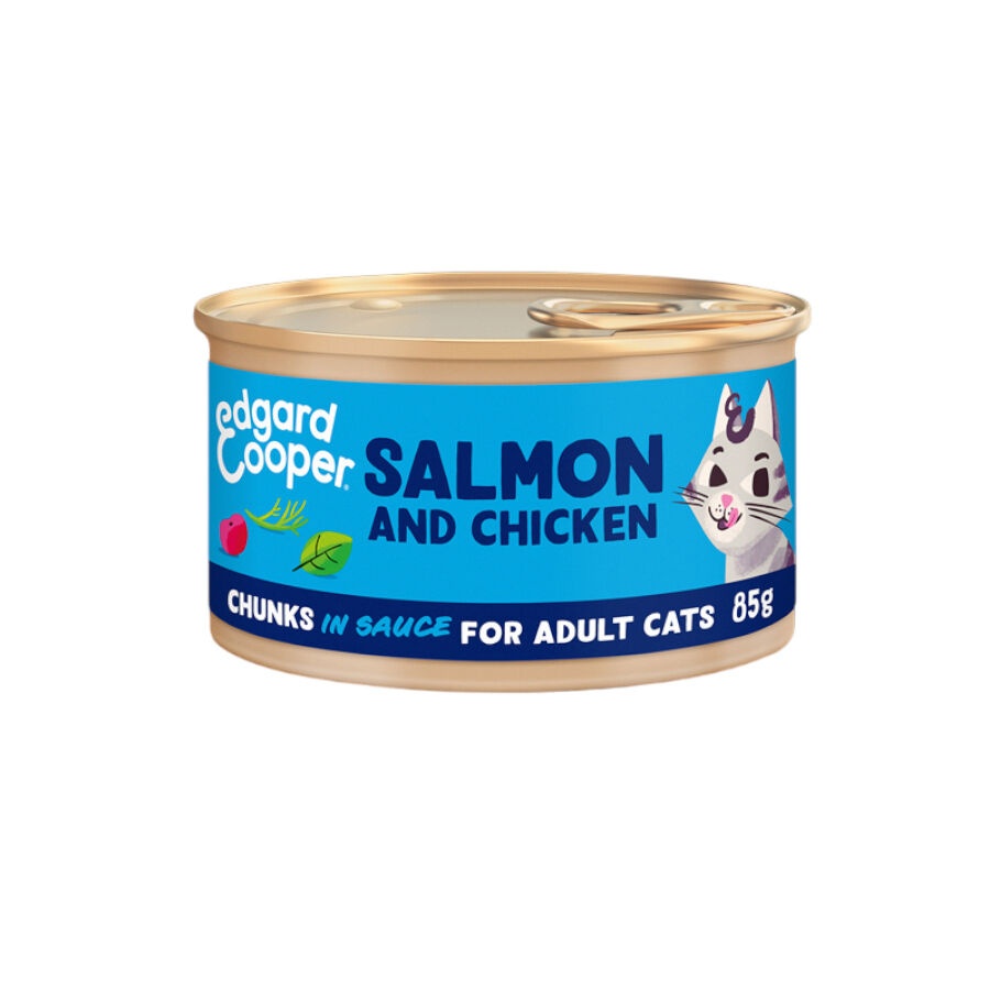 0.085 KG Edgard & Cooper Adult Pedaços de Salmão e Frango com molho em lata para gatos