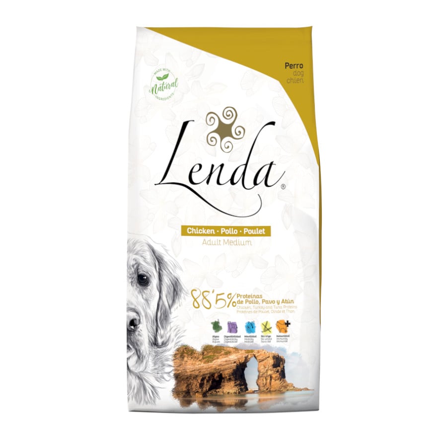 Lenda Original Adult Frango ração para cães