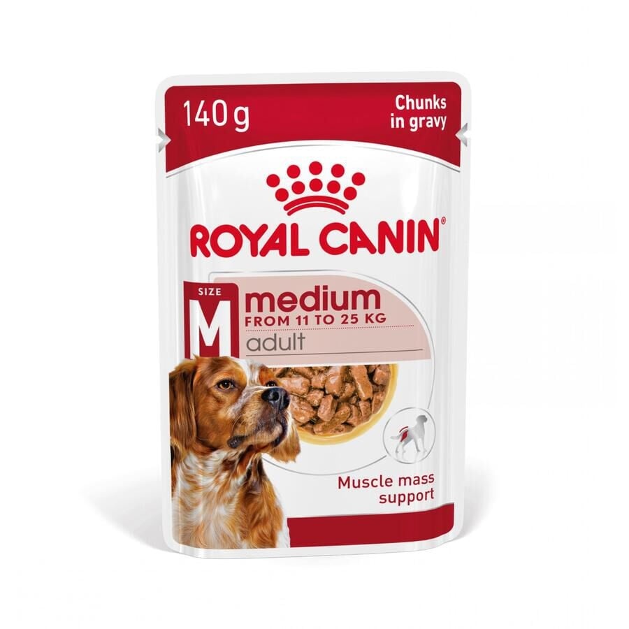 24 saquetas x 140 g Royal Canin Medium Adult saquetas em molho para cães Pack poupança!