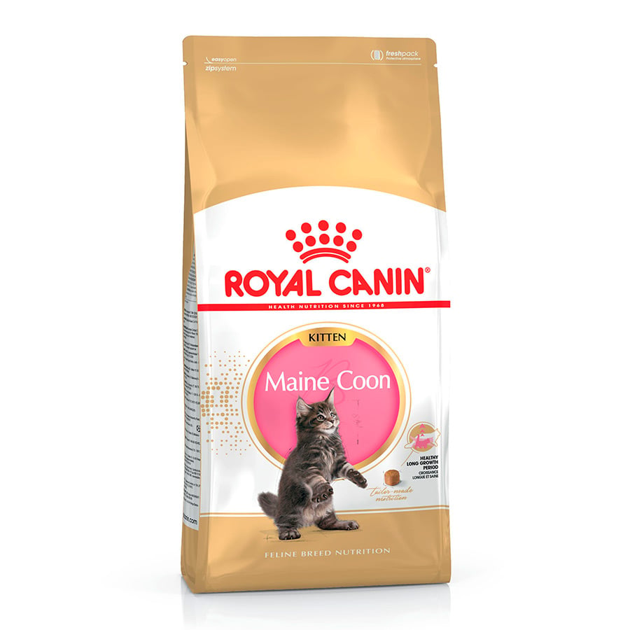 Royal Canin Kitten Maine Coon ração para gatinhos