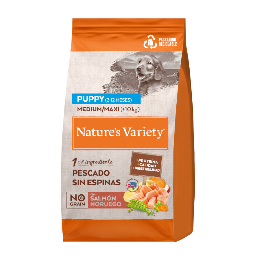 12 KG 12 kg Nature's Variety No Grain Puppy Medium Maxi Salmão ração para cachorros