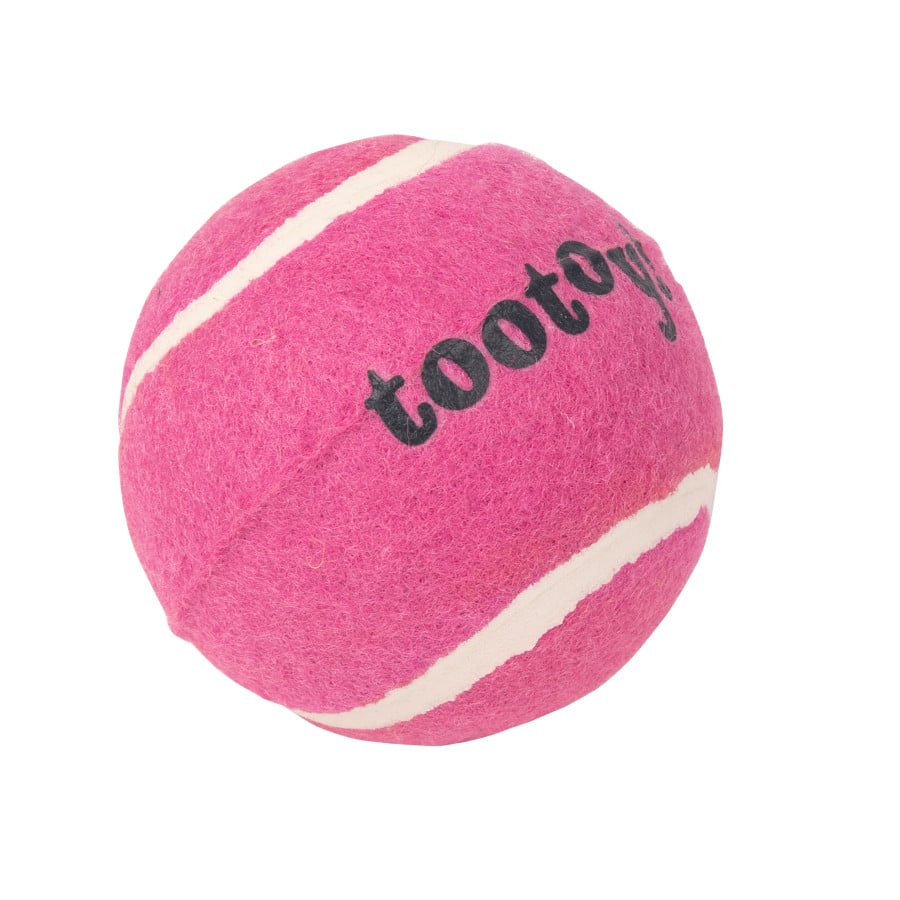 Tootoy! Chase Squeaker Ball Rosa bola de ténis para cães