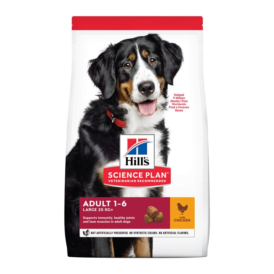 2 x 18 kg (15 + 3 kg grátis!) Hill's Science Plan Large Adult Frango ração para cães Pack poupança!