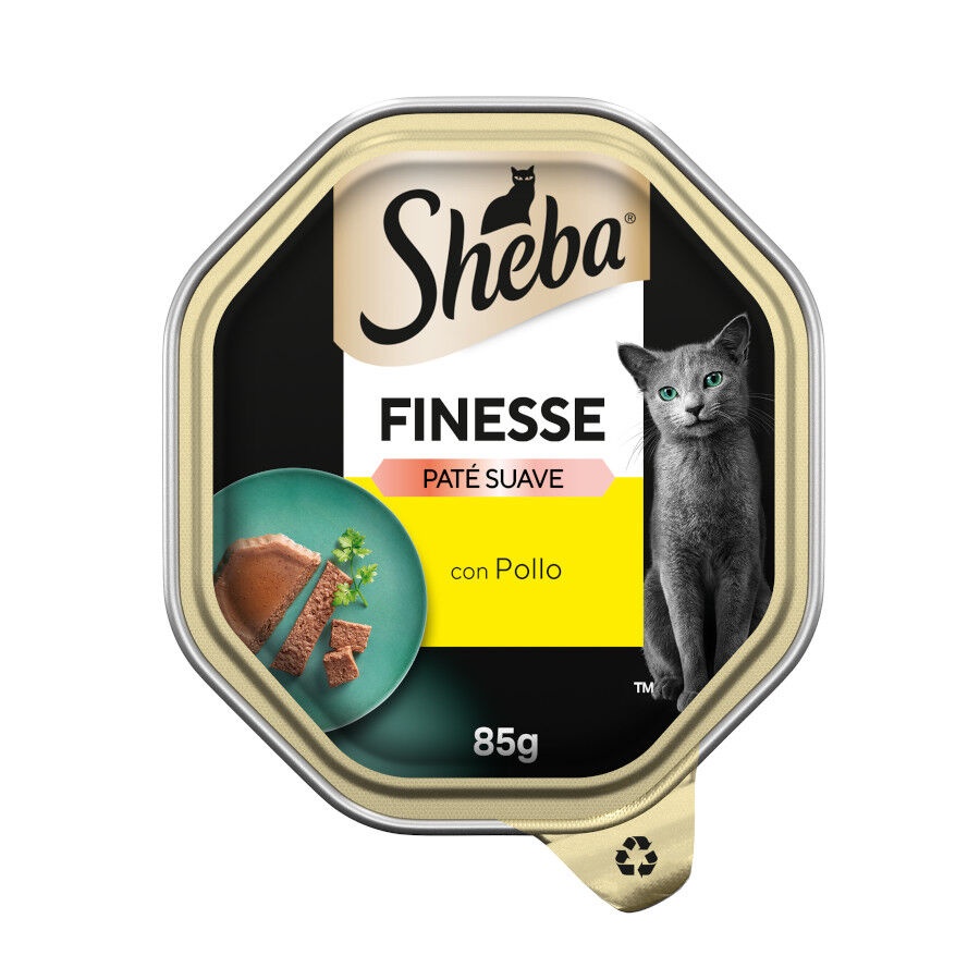 0.085 KG Sheba Finesse Frango em Patê terrina para gatos