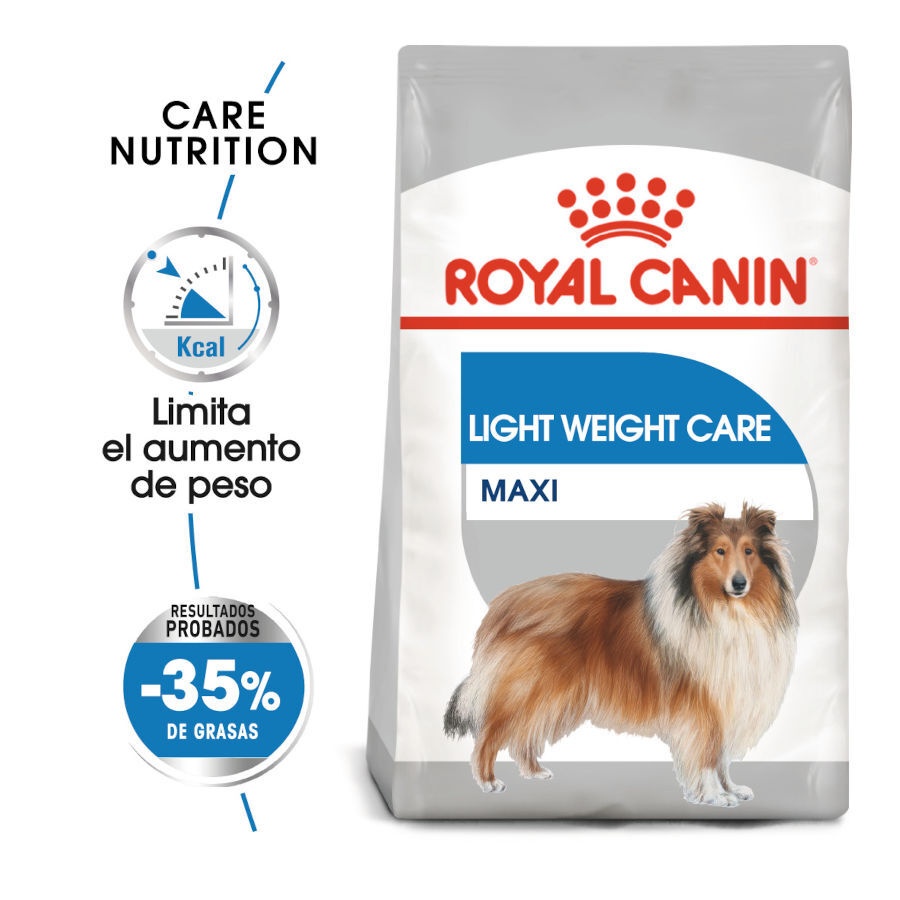 2 x 12 kg Royal Canin Maxi Light Weight Care ração para cães Pack poupança!