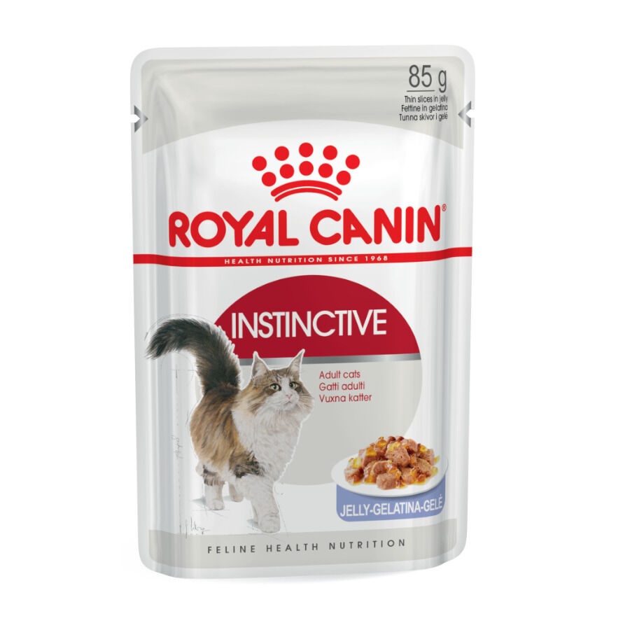 12 saquetas x 85 g Royal Canin Instinctive Saquetas de Gelatina para gatos Pack poupança!