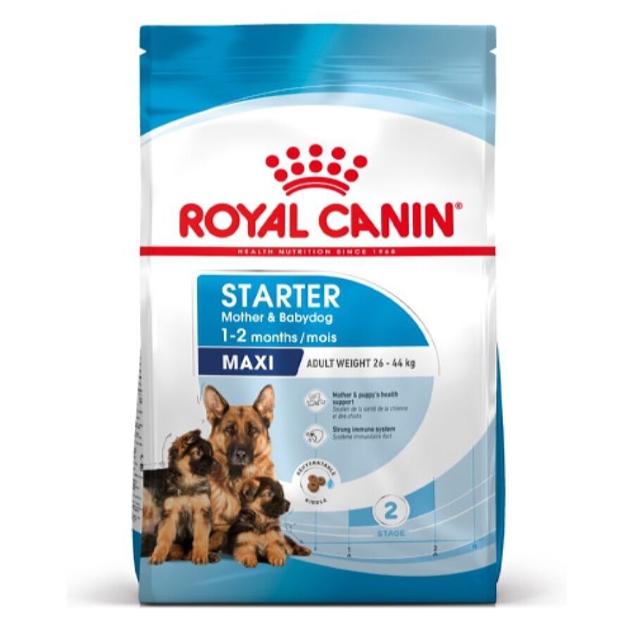 Royal Canin Starter Maxi MothereBaby ração para cães