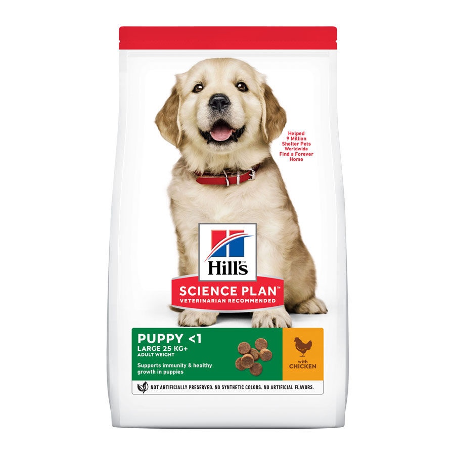 14.5 kg Hill's Science Plan Puppy Large Frango ração para cães