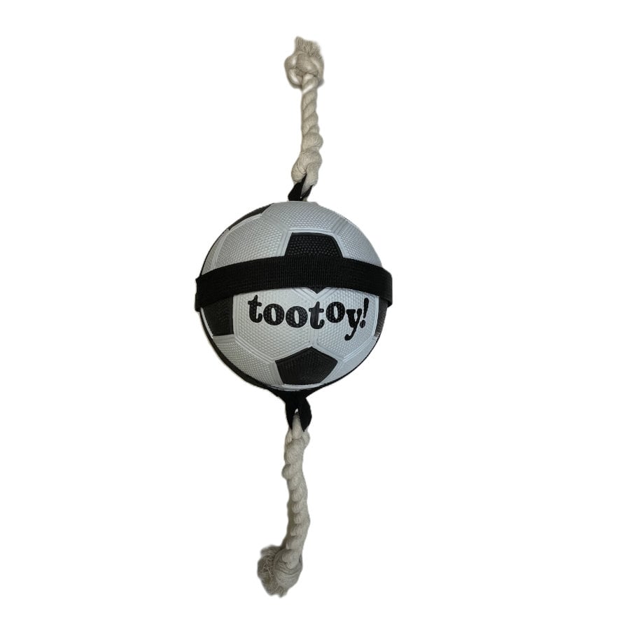 Tootoy! Chase Large Football bola para cães