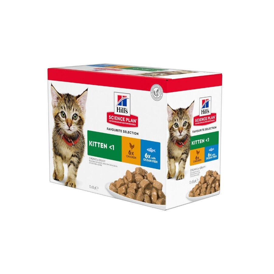 48 saquetas x 85 g Hill's Kittenn Science Plan Frango e Peixe saqueta para gatos - Multipack 12 Pack poupança!