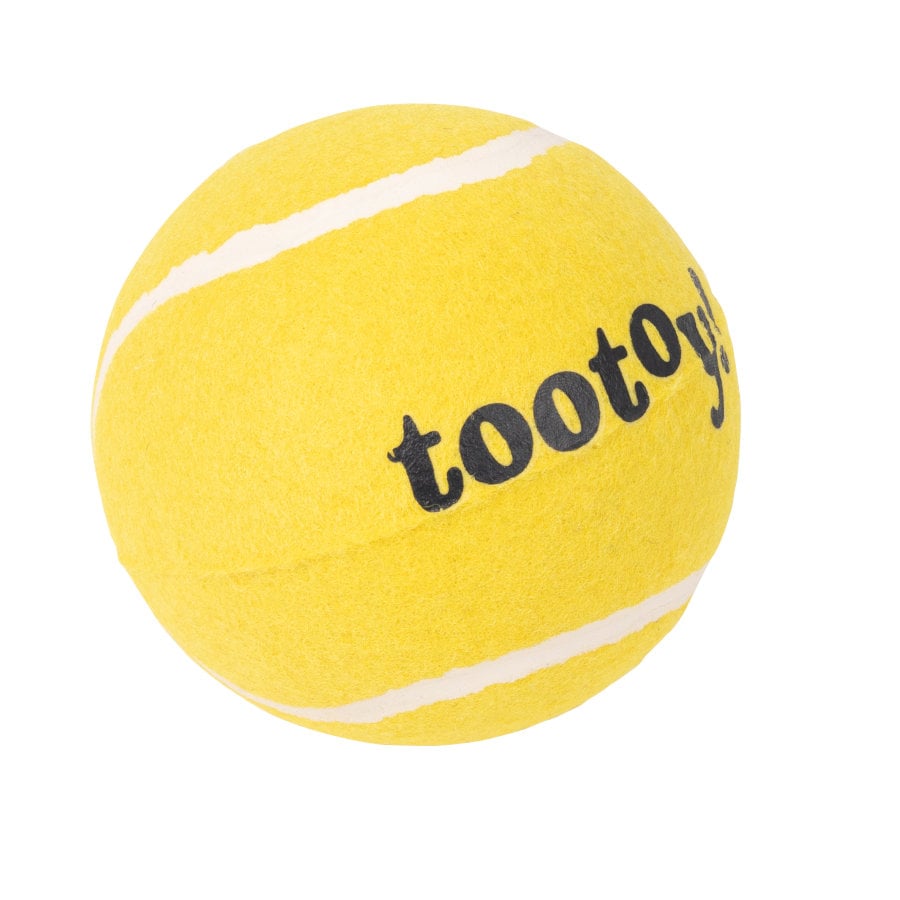 Tootoy! Chase Super Ball bola de ténis grande para cães