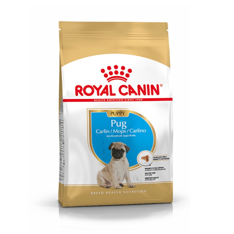 1.5 KG Royal Canin Puppy Pug ração para cães