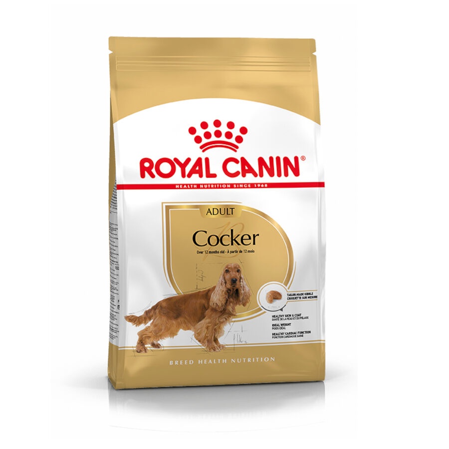 12 kg Royal Canin Adult Cocker ração para cães