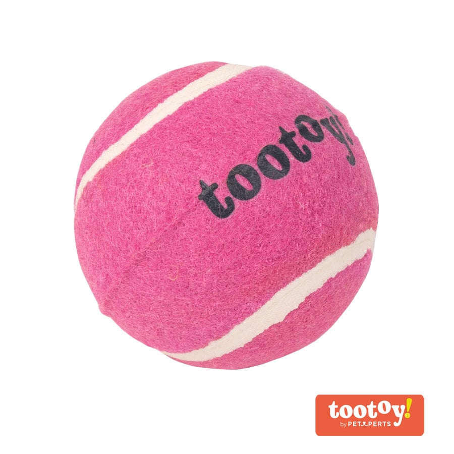 Tootoy! Chase Squeaker Ball Rosa bola de ténis para cães