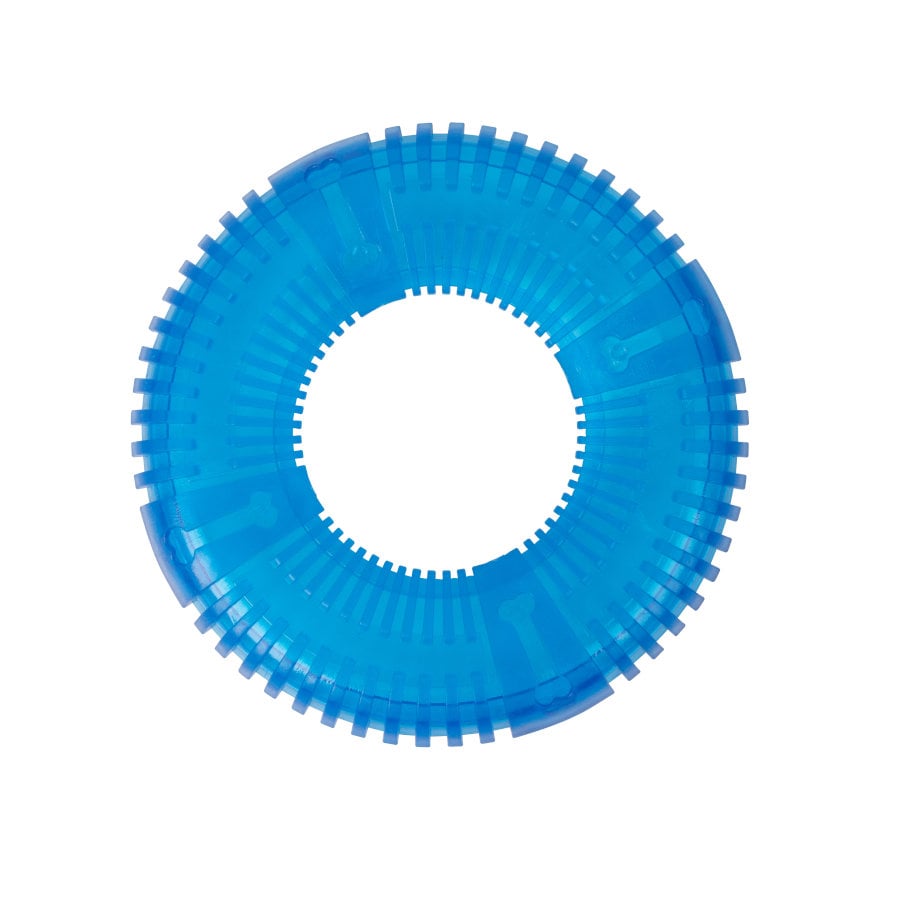 Tootoy! Donut disc Blue Frisbee Resistente Azul para cães