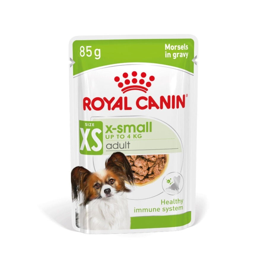 48 saquetas x 85 g Royal Canin X-Small Adult saquetas com molho para cães Pack poupança!