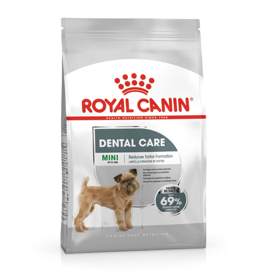 3 KG Royal Canin Mini Dental Care ração para cães