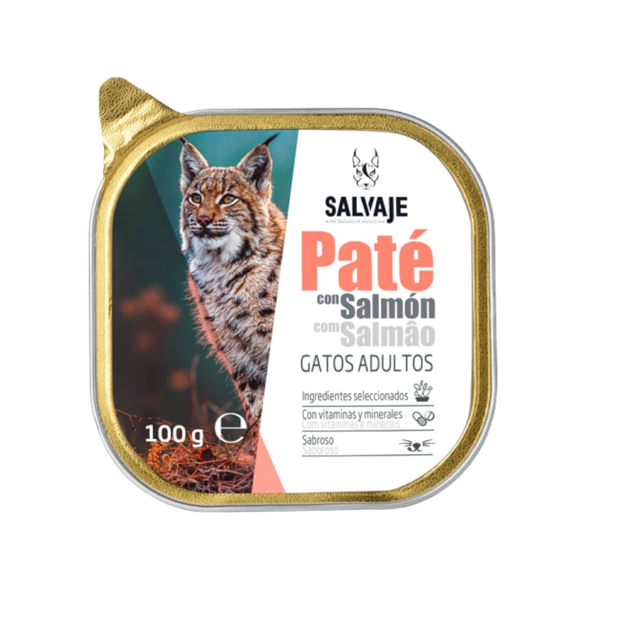 2.4 kg Salvaje Adulto Salmão Patê em terrina para gatos