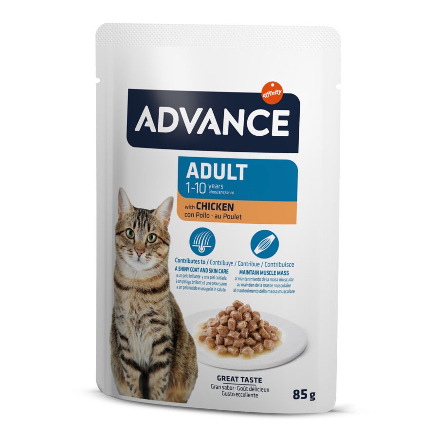 85 g Advance Adult Bocaditos com Frango em Saqueta em molho para gatos