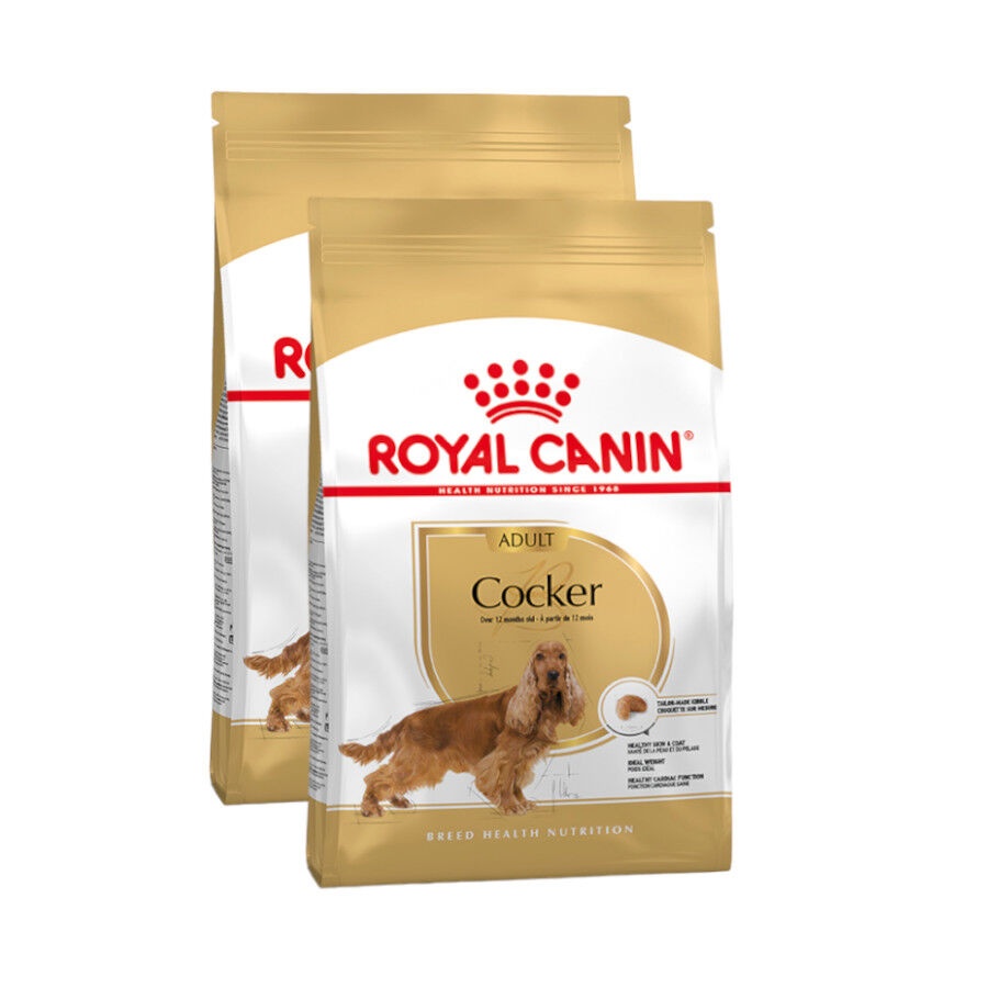 2 x 12 kg Royal Canin Adult Cocker ração para cães Pack poupança!