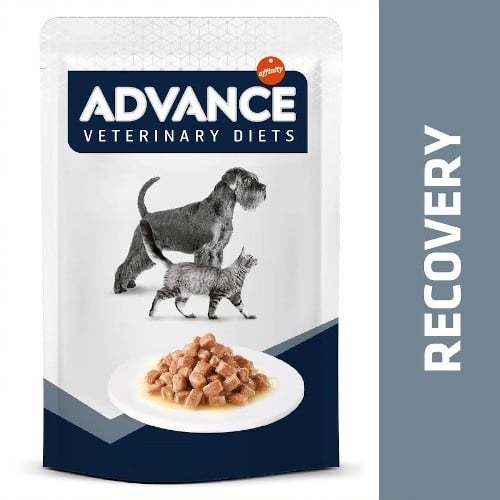 12 saquetas x 100 g Advance Recovery Saquetas para cães e gatos Pack poupança!