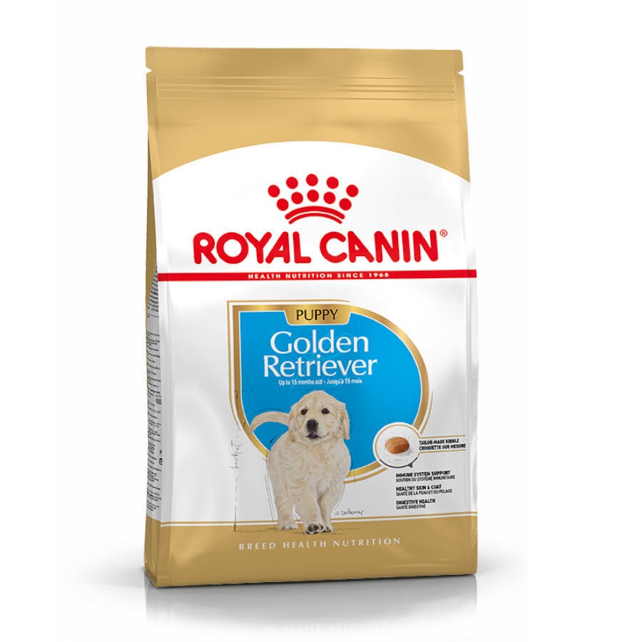 12 kg Royal Canin Puppy Golden Retriever ração para cães